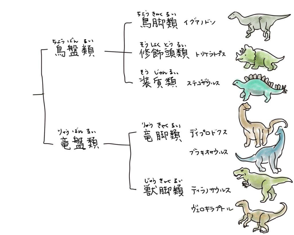 恐竜の分類図