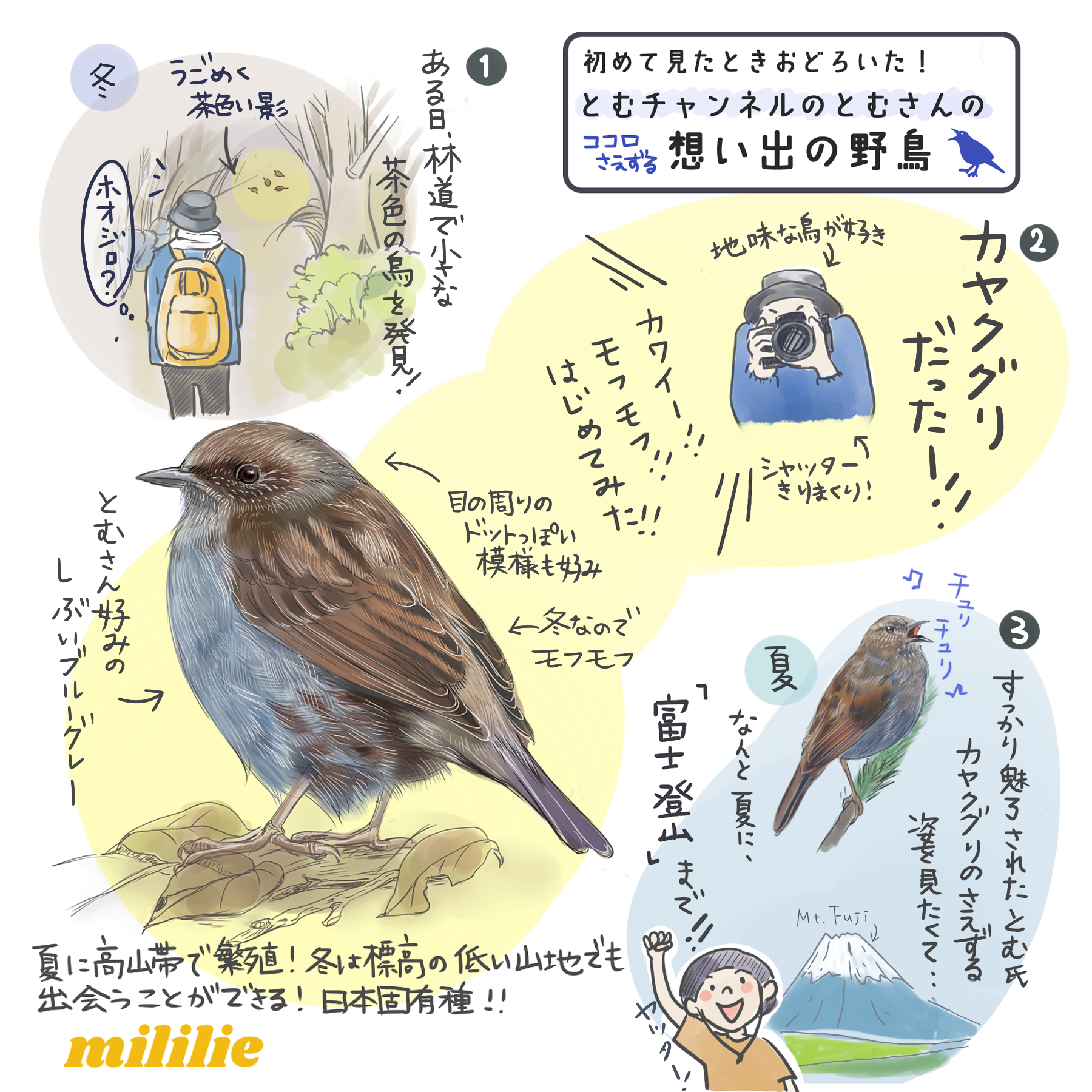 思い出の野鳥エピソード募集